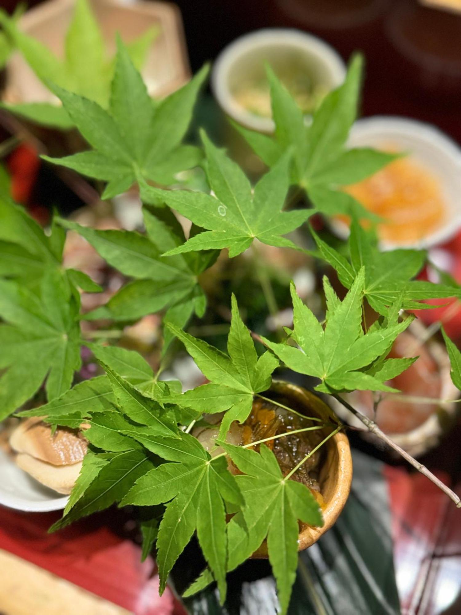 橼舍隐东愿寺别墅 京都 外观 照片