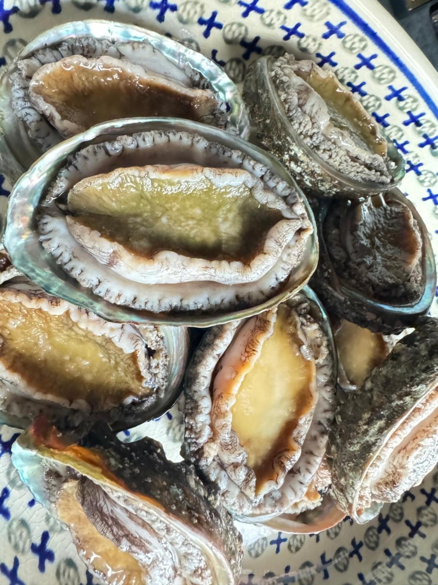 橼舍隐东愿寺别墅 京都 外观 照片